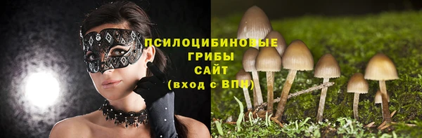 МДПВ Алзамай