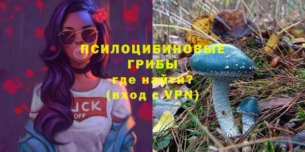 скорость Алексин