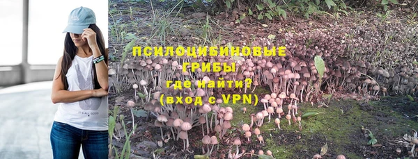 МДПВ Алзамай