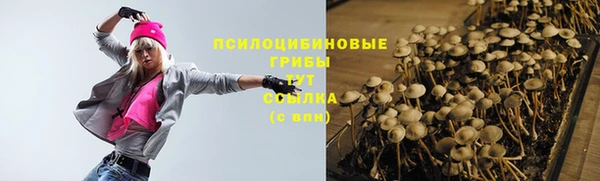 МДПВ Алзамай