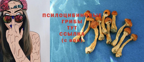 скорость Алексин