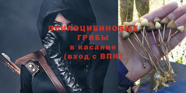 стаф Алексеевка